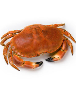 Crab - 1 kg